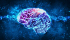 graphic showing brain optimization
